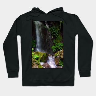 a waterfall in the forest Hoodie